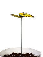 Штекер садовый «Бабочка дольче», 12×9 см, h=30 см, МИКС  (артикул 1201402)  большой выбор товаров оптом и в розницу по низким ценам с доставкой