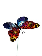 Штекер садовый «Бабочка верди», 20×14 см, h=45 см, МИКС - Фото 9