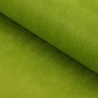 Фетр для упаковок и поделок, однотонный, оливковый, двусторонний, зеленый, рулон 1шт., 50 см x 15 м - фото 5666935