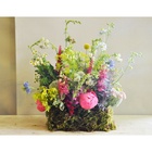 Губка флористическая для живых цветов, букетов «Оазис Классик» кирпич, 23×11×8 см - Фото 6