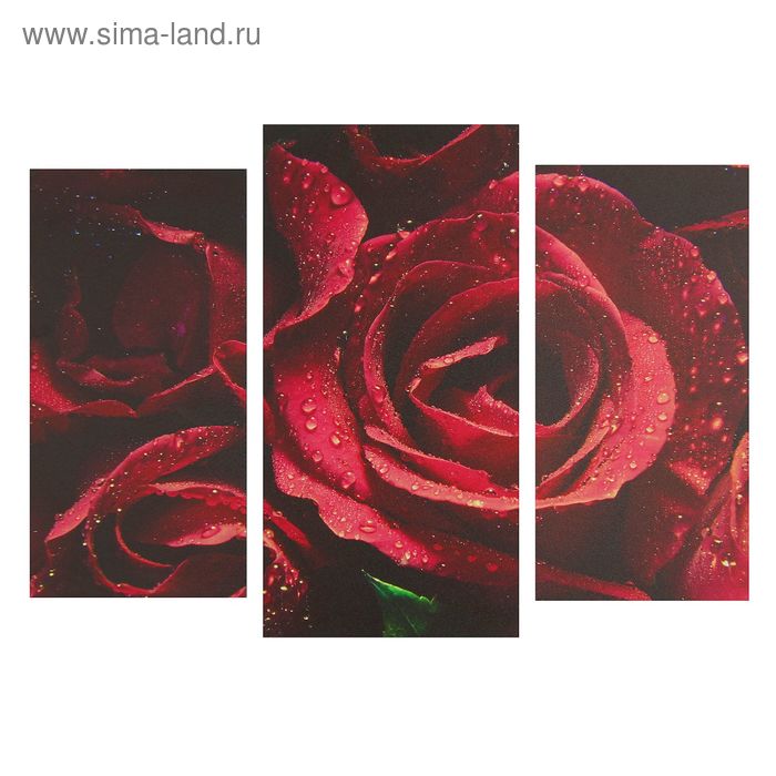 Картина модульная на подрамнике  "Розы" 2шт-25,5*50,5см, 30,5*60см, 60х100 см - Фото 1