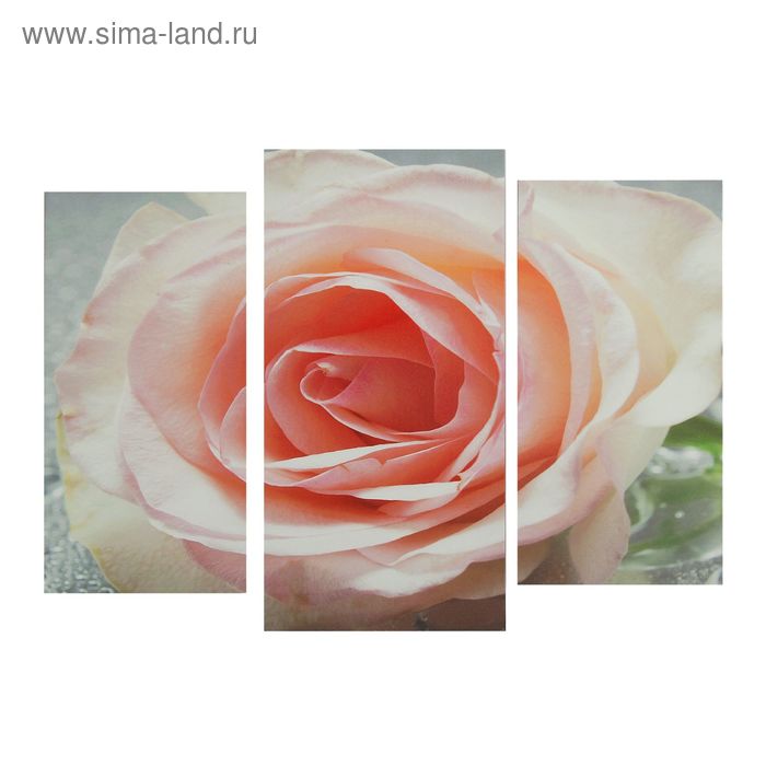 Картина модульная на подрамнике "Роза" 2шт-25,5*50,5 см, 30,5*60 см, 60х100 см - Фото 1