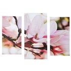 Картина модульная на подрамнике "Магнолия" 2шт-25,5*50,5 см, 30,5*60 см, 60х100 см - Фото 1