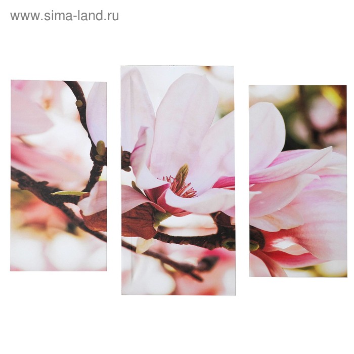 Картина модульная на подрамнике "Магнолия" 2шт-25,5*50,5 см, 30,5*60 см, 60х100 см - Фото 1