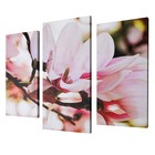 Картина модульная на подрамнике "Магнолия" 2шт-25,5*50,5 см, 30,5*60 см, 60х100 см - Фото 2