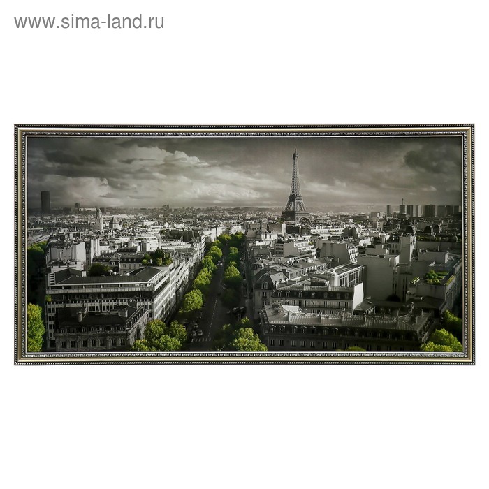 Картина "Париж"   54х105см - Фото 1