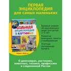 Большая энциклопедия в картинках - фото 9300402