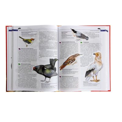 Красная книга России «Животные»