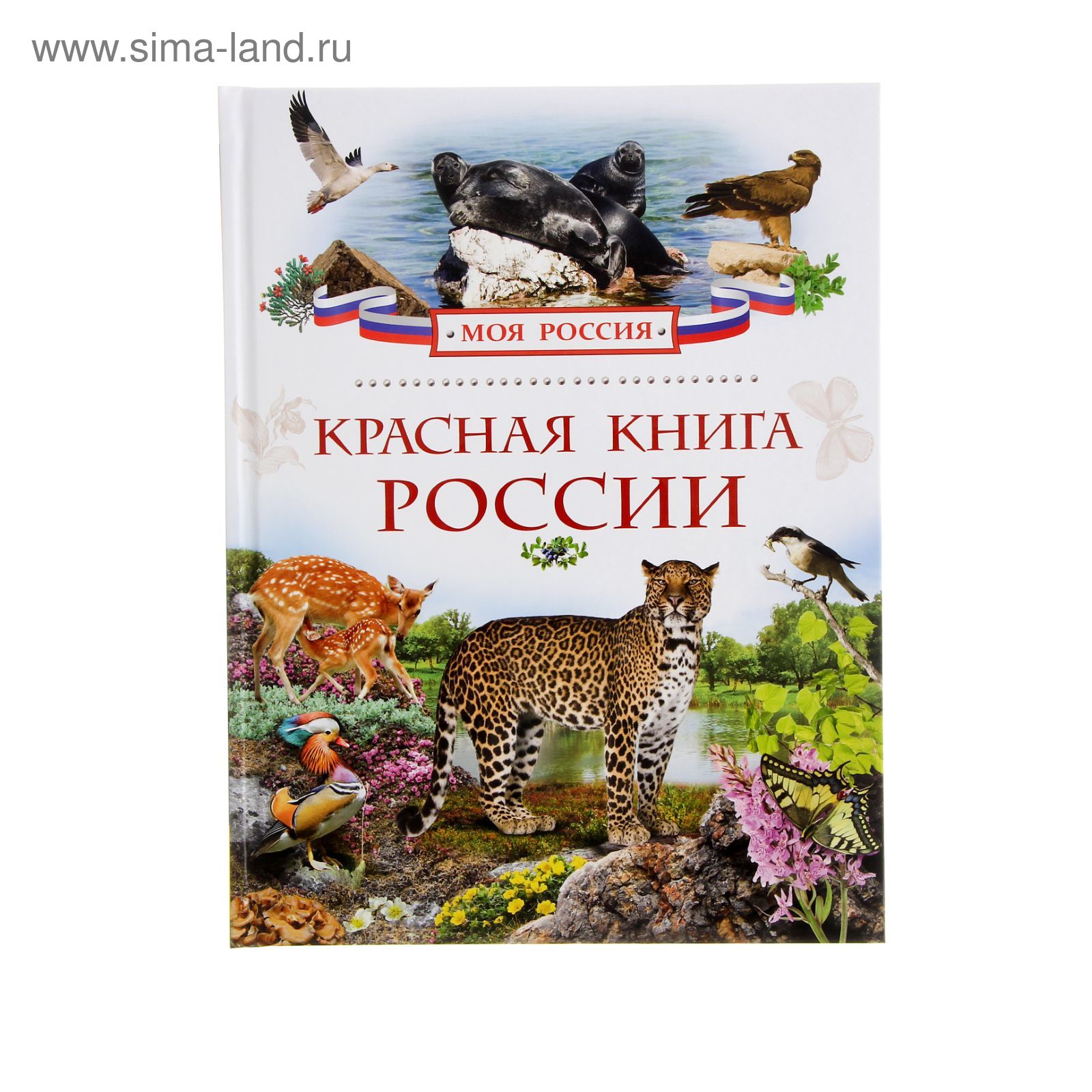 Красная Книга Купить В Спб