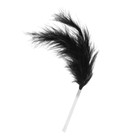 Игра для пар «Территория соблазна. Нежная романтика», 4 в 1 (50 карт, маска, лента, перо), 18+ - Фото 4