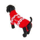 Свитер, размер 12 (по спинке 35 см, обхват груди 32 см), красный - Фото 3