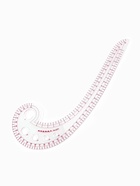 Лекало портновское метрическое «Улитка», 30×10.5 см, s=0.5 мм, прозрачное - Фото 3