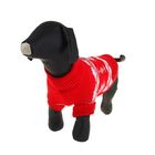 Свитер, размер 10 (по спинке 30 см, обхват груди 30 см), красный - Фото 2