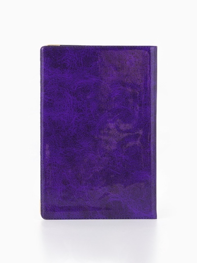 Обложка для паспорта, с гербом, 9.5×0.5×13.5 см, МИКС