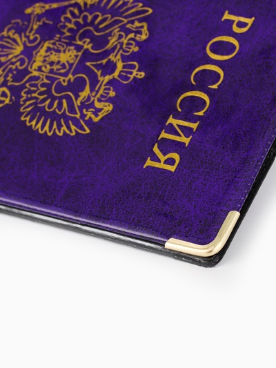 Обложка для паспорта, с гербом, 9.5×0.5×13.5 см, МИКС