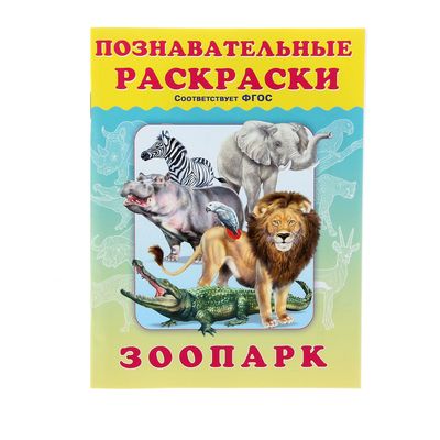 Познавательная раскраска 