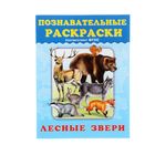 Познавательная раскраска "Лесные звери" - Фото 1