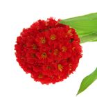 Цветы искусственные "Цветочный шар" красный 8х66 см - Фото 2