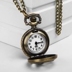 Карманные кварцевые часы «Птица со стрелой», на цепочке 80 см - фото 8266759