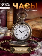 Часы карманные «Бронзовый каркас», кварцевые, циферблат d=4.5, на цепочке 80 см - Фото 1