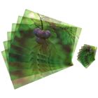 Набор салфеток сервировочных на стол Доляна «Утренняя роса», 12 шт: (6 шт - 42×27 см), (6 шт - 9×9 см) - Фото 1