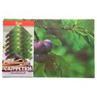 Набор салфеток сервировочных на стол Доляна «Утренняя роса», 12 шт: (6 шт - 42×27 см), (6 шт - 9×9 см) - Фото 2