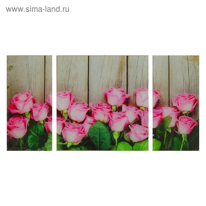 Картина модульная на стекле "Розы"  2-25*50, 1-50*50 см,   100х50см - Фото 1