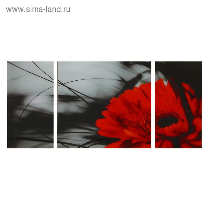 Картина модульная на стекле "Красный цветок"  2-25*50см, 1-50*50см,   100*50см - Фото 1
